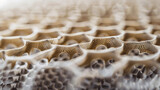 A closeup of a porous panel made out of lightweight material appearing almost like a honeycomb. The caption reads Incorporating acoustic metamaterials in architectural designs