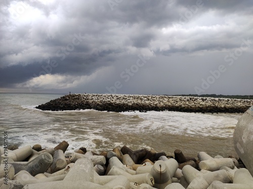 seagulls on the beach