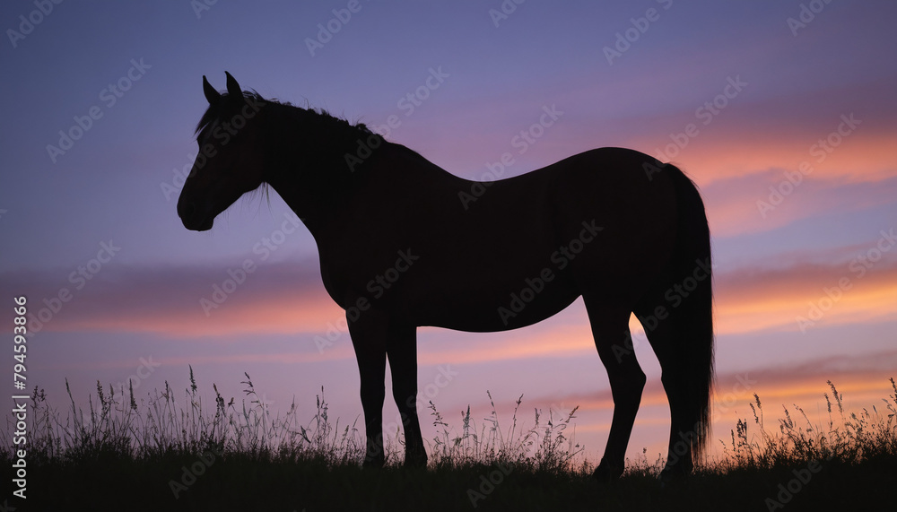 Serene Horse Silhouette at Sunset