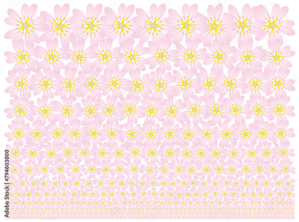 ピンク色の桜花ボーダーテクスチャー（サイズが小さくなるパターン背景・単独加工も可能な素材）