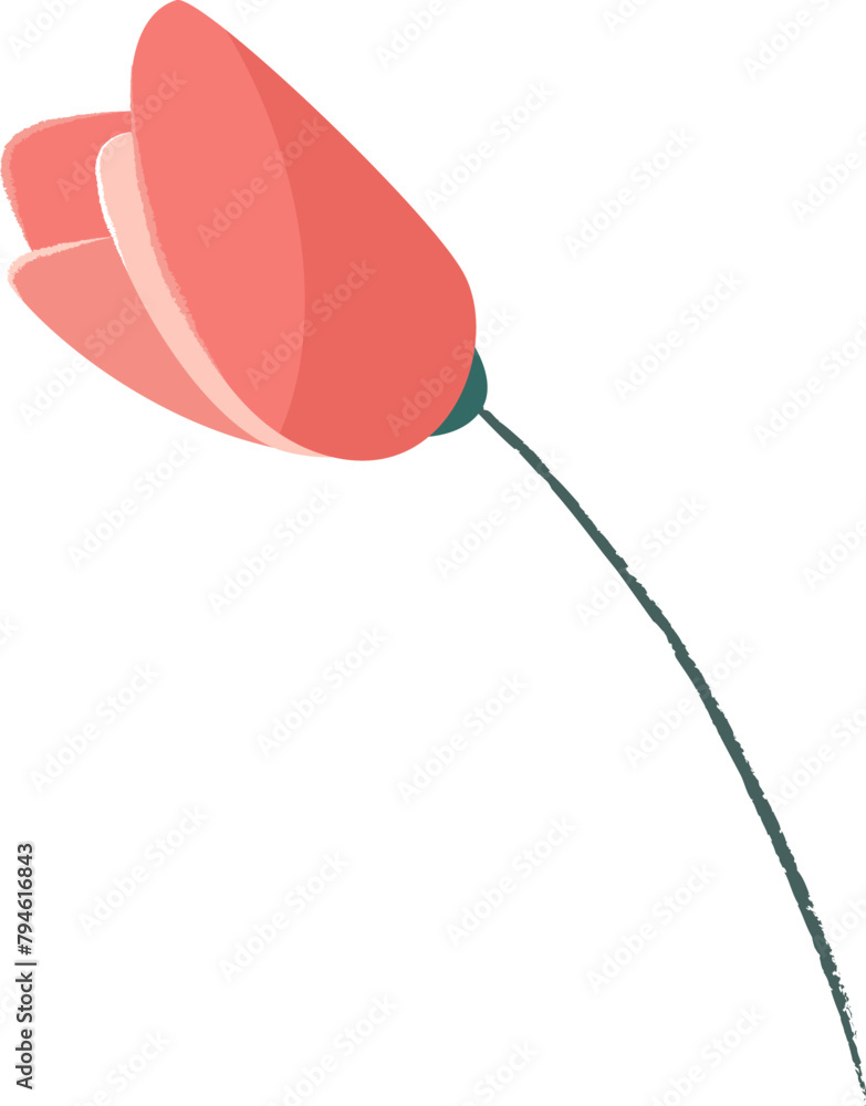 White Flower Stem White Flower Stem