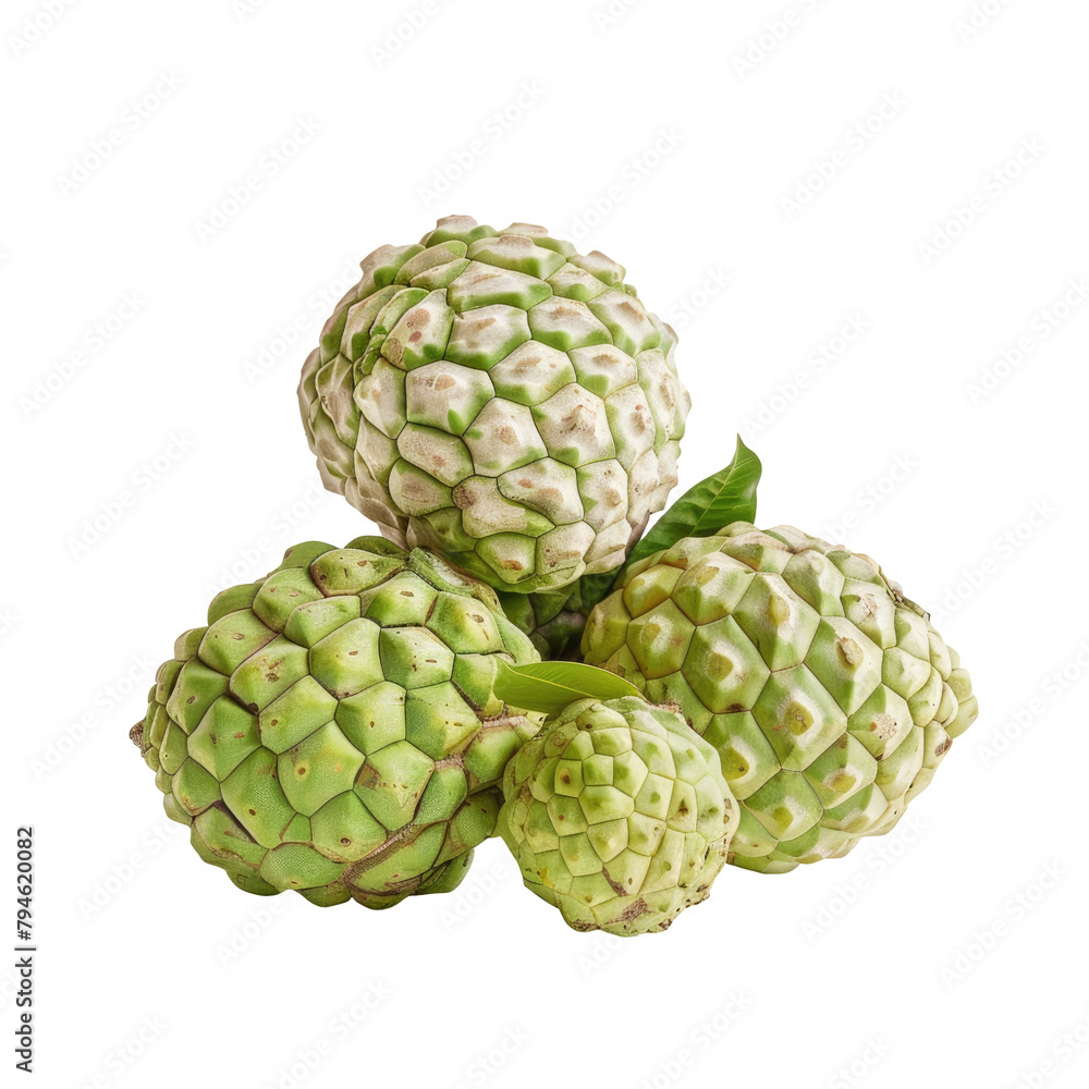 Delightful fruits hailing from Thailand such as Custard Apple Sugar Apple and Sweetsop known scientifically as Annona Squamosa showcased beautifully against a clear background with a white Delightful fruits hailing from Thailand such as Custard Apple Sugar Apple and Sweetsop known scientifically as Annona Squamosa showcased beautifully against a clear background with a white