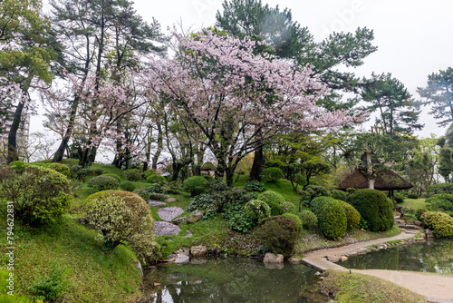 A beautiful garden with a pond and a tree with pink flowers