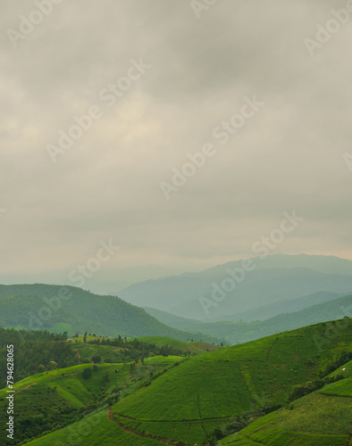 landscape vetical view beautiful scenery looking rice field fog green tree forest Mountain hill natural blue sky cloud horizontal distant countryside thailand asia travel holiday wind relax dawn time