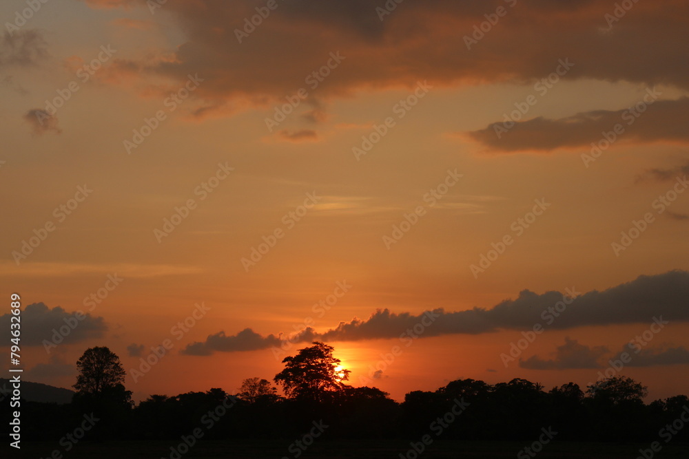 Fototapeta premium sunset sky with clouds.