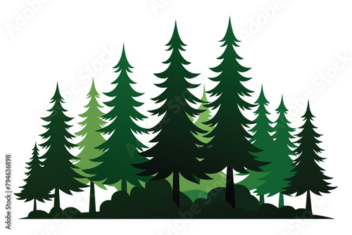 Forest of Christmas trees silhouette. Coniferous spruce panorama. Park of evergreen wood. Vector
