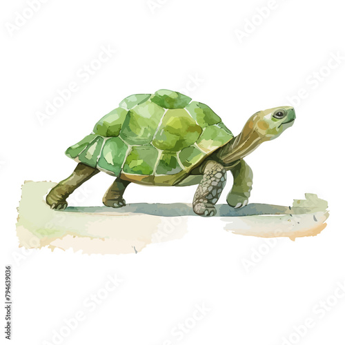 cute cartoon turtle walking in watercolor painting style