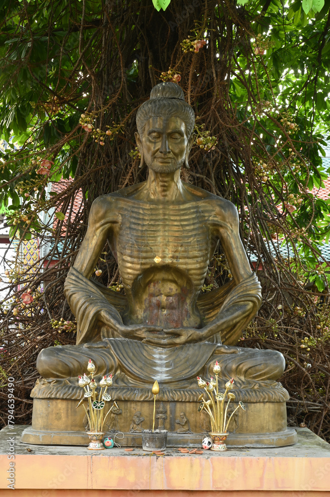 Φωτογραφία Outdoor bronze Buddha statue in the posture of suffering sitting under a tree decorartion at Wat Phra That Hariphunchai Woramahawihan