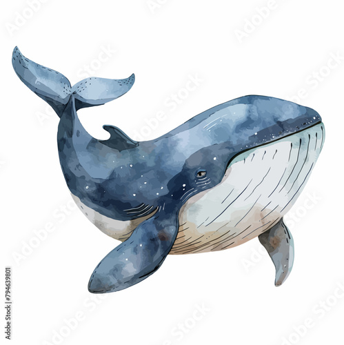 cartoon whale in watercolor painting style © Fauziah