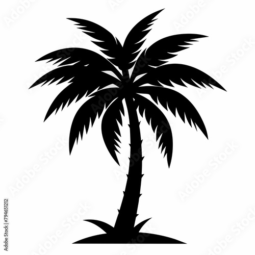 palm tree silhouette © Soraia Akter