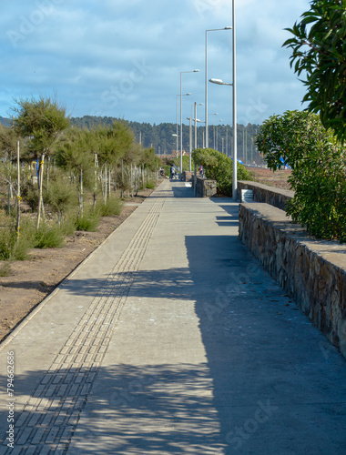 road in Cobquecura, Chile, with trees at the left and concrete at the right.  photo