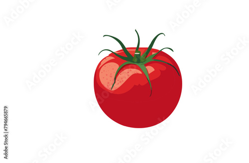 tomate vector