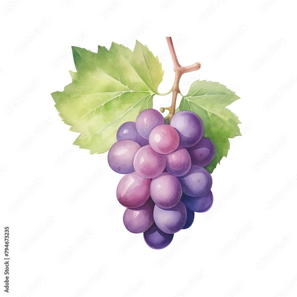 Fototapeta premium Grape, seedless grape