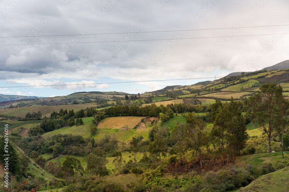 View of a Colombian landscape with crop fields with trees around.