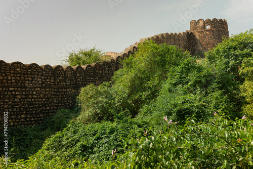Stone wall of Rao Jodha Desert Rock Park, Jodhpur, Rajasthan, India. Near the historic Mehrangarh Fort , park contains ecologically restored desert and arid land vegetation, a tourist spot.