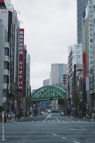 Travelling to Japan is so amazing and love the city Tokyo so much.
