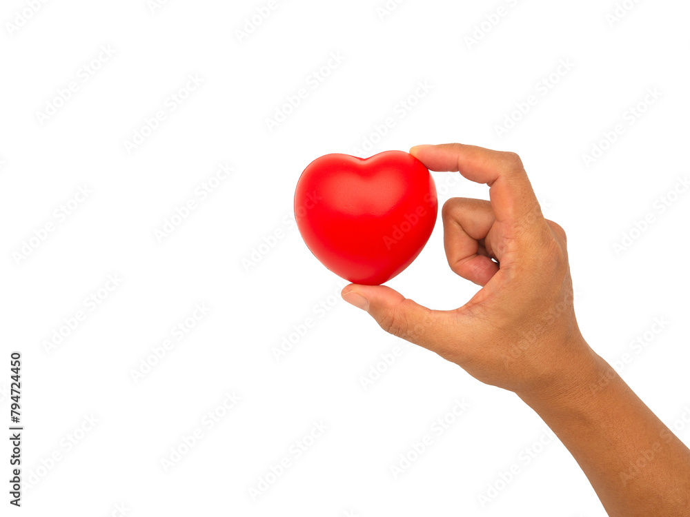 Hand holding a red heart-shaped object against a transparent background. Hand holding a red heart-shaped object against a transparent background.