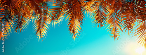 Tropical Summer Scene, Palm Trees and Blue Sky, Vacation Concept © Jannat