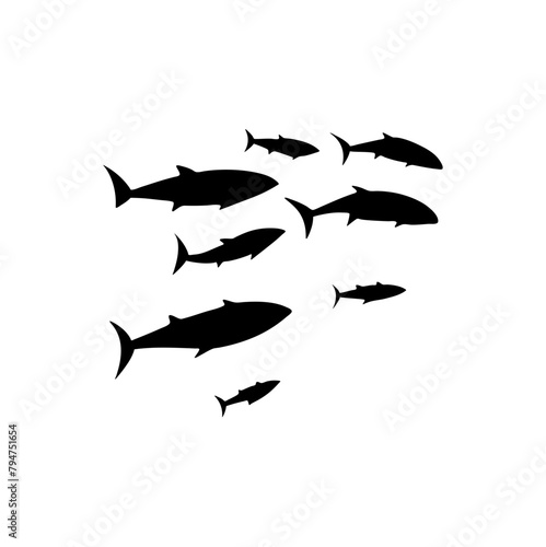 School tuna fish swims