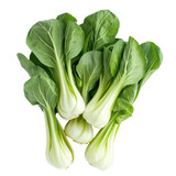 A vibrant cluster of fresh green baby bok choy set against a transparent background