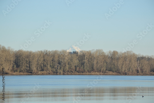 Sauvie Island Serenity: Columbia River with Mt. Hood and Barren Trees