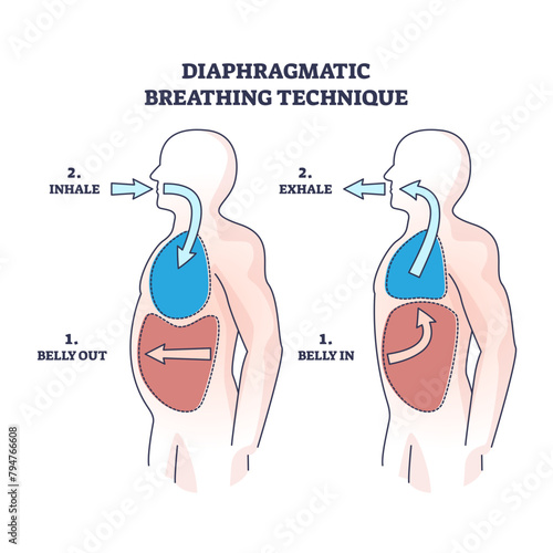 Diaphragmatic breathing technique with inhale and exhale outline diagram, transparent background. Labeled educational scheme with anatomical lung and belly movement or position illustration.
