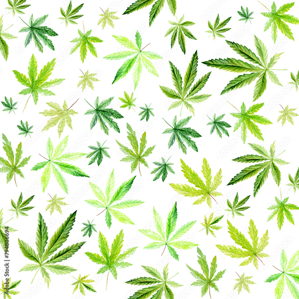 Cannabis pattern isolated on white background, green leaves Hand drawn watercolor illustration, medicine herb plant