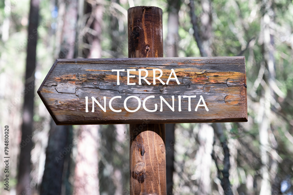 Terra incognita the phrase means unknown land, inscription on the wooden signpost against the background of the forest