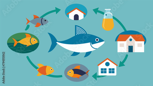 A diagram showcasing the lifecycle of a sustainable fish from birth to harvest highlighting the responsible farming or fishing practices