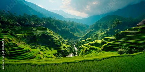 Rural landscapes with intricate rice terraces, where lush green fields cascade down hillsides.