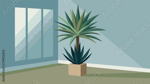A tall Yucca plant in a corner of a room its hardy foliage working to filter out pollutants and maintain healthy air levels in the space