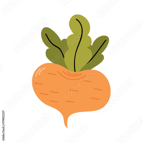 Turnip icon clipart avatar logotype isolated vector illustration
