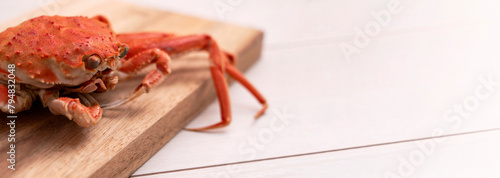 crab on the cutting board. female snow crab. まな板の上のカニ。香箱ガニ（メスのズワイガニ） photo