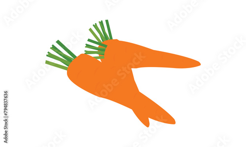 Carrot Vector  Design And Illustration. 