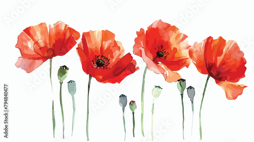 Watercolor painting red poppy flowers. Creative floral