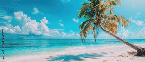 A palm tree is on a beach with a clear blue sky