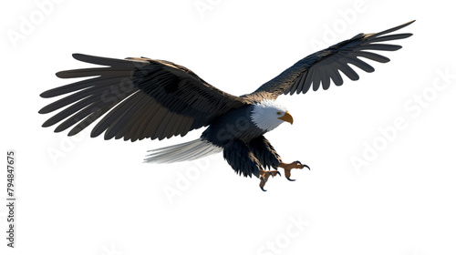 bald eagle in flight transparent png cutout