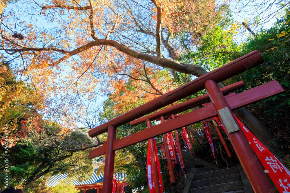 丸山稲荷社の鳥居。
Torii gate of Maruyama Inari Shrine.
1180年創建の関東屈指の神社、鶴岡八幡宮。
鎌倉幕府の総鎮守です。
日本国神奈川県鎌倉市にて。
2021年12月19日撮影。
Tsurugaoka Hachimangu Shrine, one of the most prominent shrines in Kanto, was built in 丸山稲荷社の鳥居。
Torii gate of Maruyama Inari Shrine.
1180年創建の関東屈指の神社、鶴岡八幡宮。
鎌倉幕府の総鎮守です。
日本国神奈川県鎌倉市にて。
2021年12月19日撮影。
Tsurugaoka Hachimangu Shrine, one of the most prominent shrines in Kanto, was built in