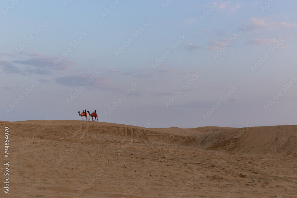 Camel desert safari