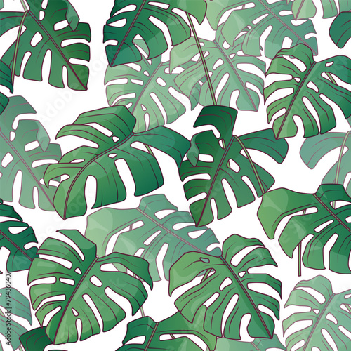 Vector seamless pattern with leaves of monstera isolated on white background. Illustration of leaves for design of flower shop, fabric, textile, wrapping paper, card.