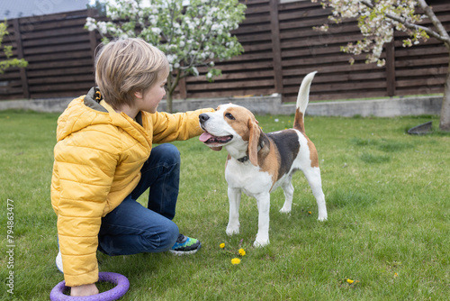 young boy plays with his pet  a beagle dog  in the garden. dog training concept. Friendship between a child and a pet. Caring for four-legged friends