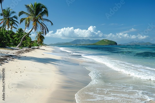 Tropical beach with palm trees and white sand on an island in the Caribbean. photo