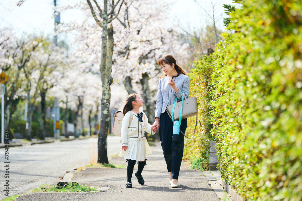 桜並木を歩き入学式に向かう日本の母と娘 桜並木を歩き入学式に向かう日本の母と娘