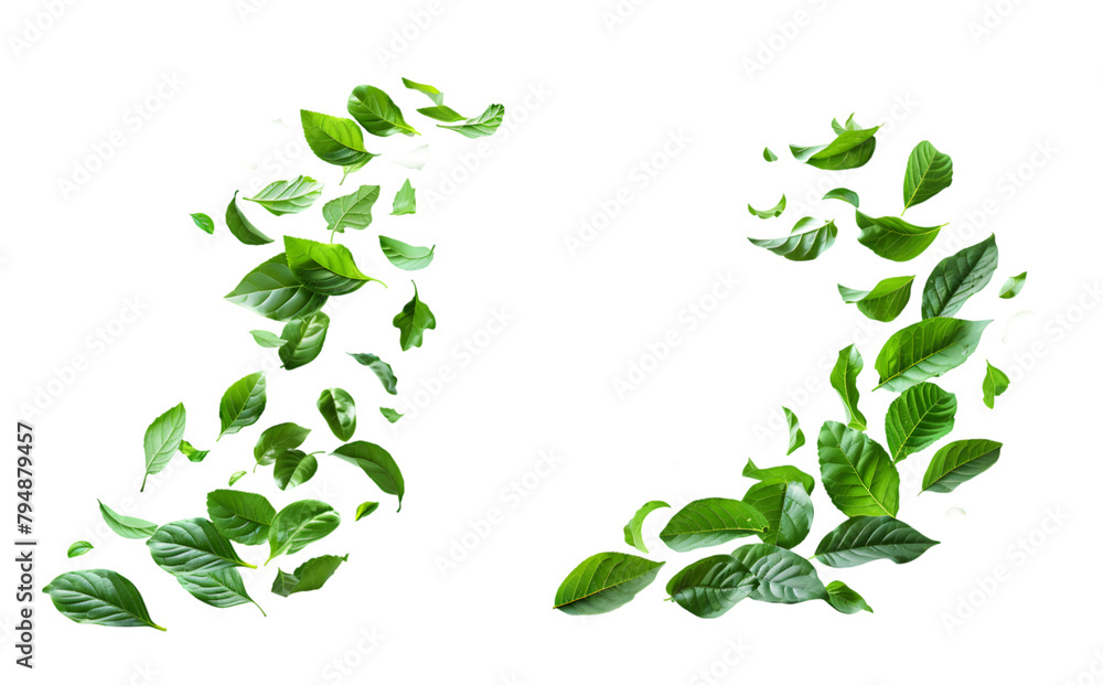 Leaves fly in the air
Leaves fly in the air