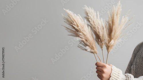 A person's hand holding stems of pampas grass against a light grey background.