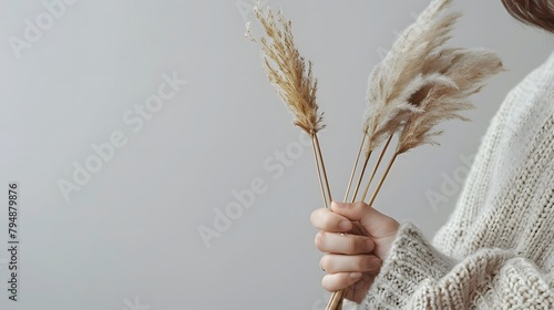 A person's hand holding stems of pampas grass against a light grey background.