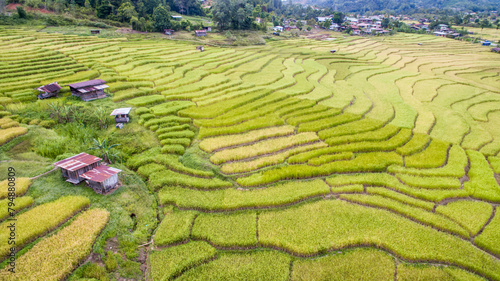 Obraz na plátně Aerial view of paddy terrace at Tambunan, Sabah.