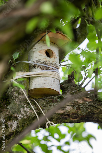 Birdhouse on a tree in the forest. Birdhouse in nature.