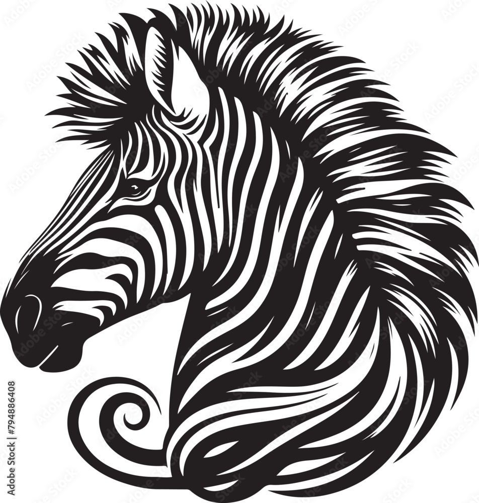zebra illustration zebra illustration