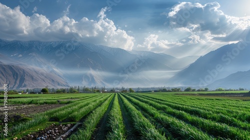 Scenic sights of majestic mountains clouds and onion filled fields